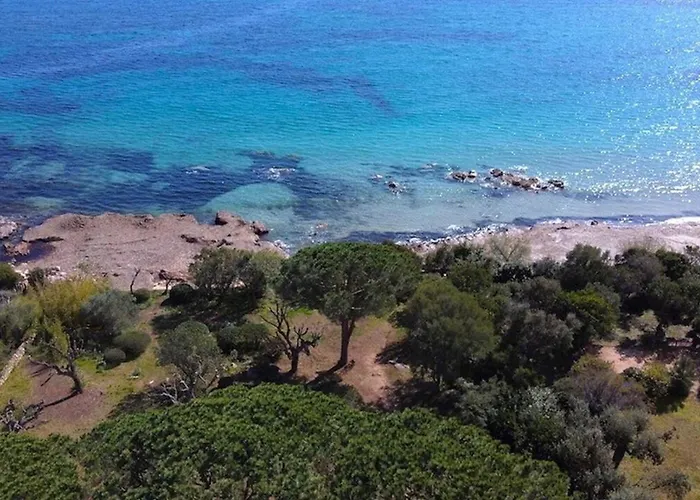 Meiji * Пинареллу