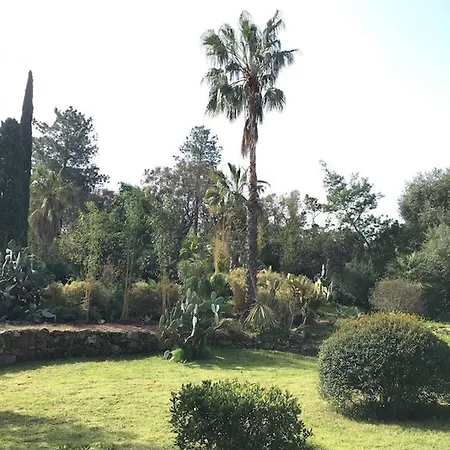 Meiji Villa Pinarellu