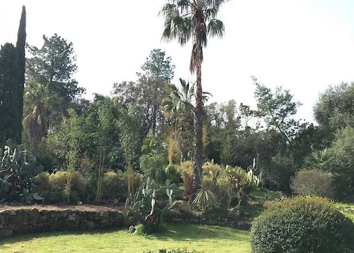 Meiji Villa Pinarellu